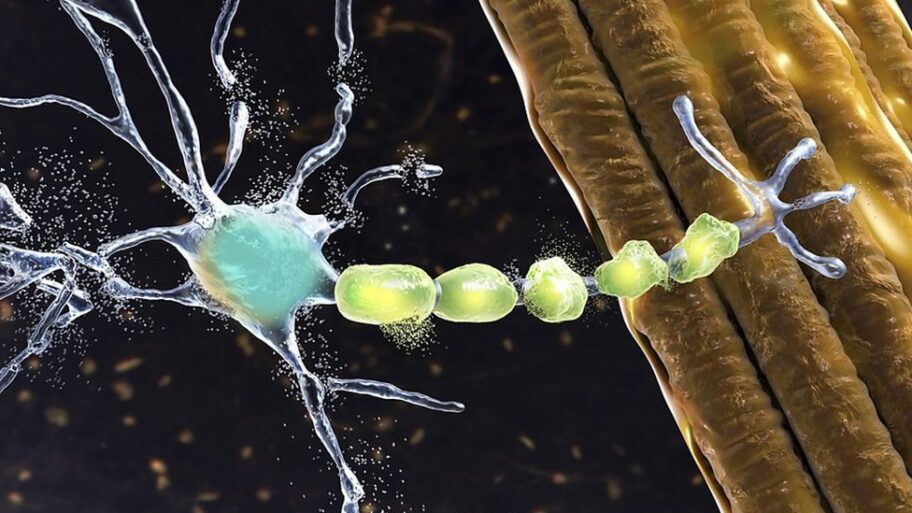 132126147 9457cce4 043c 4fa9 95e8 34766652508e