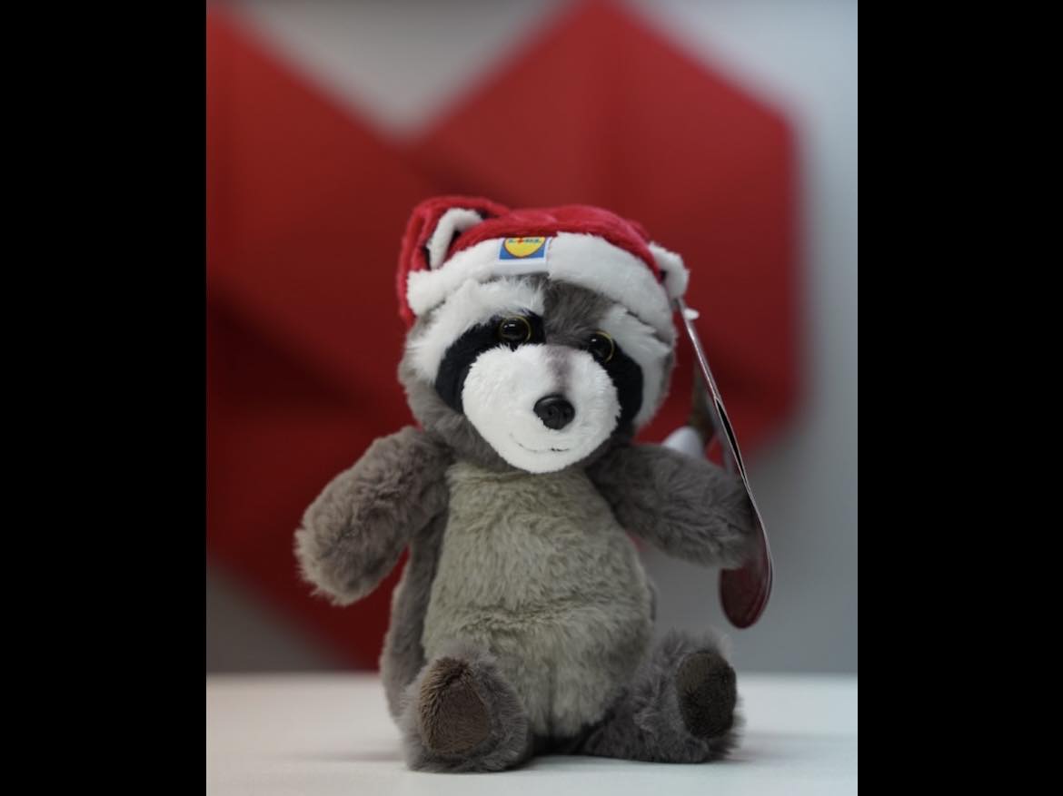 462579098 3229517050512562 7823432772707586071 n