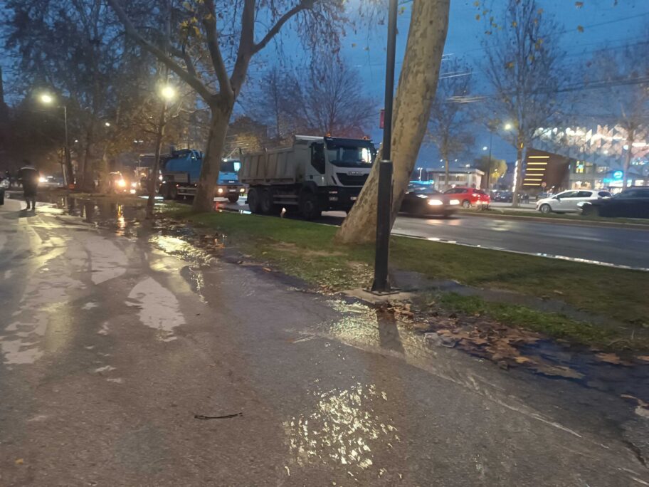 IMG 20241203 161753 scaled