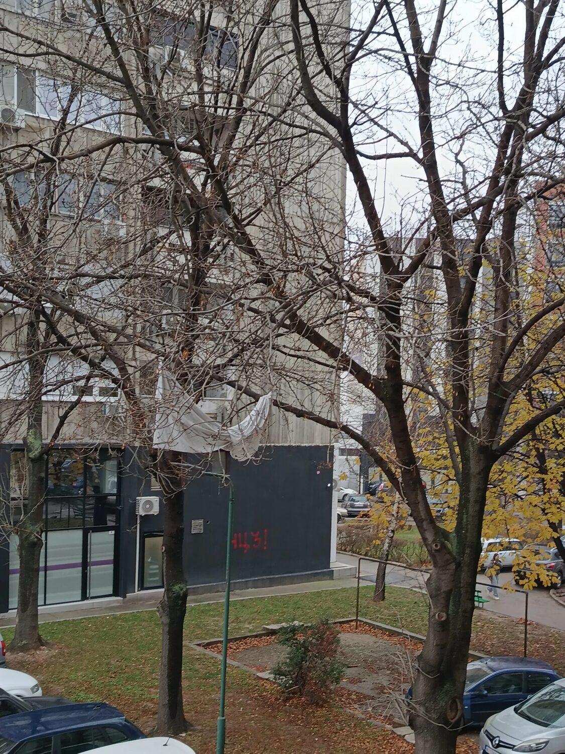 17333875674775213616858367173920