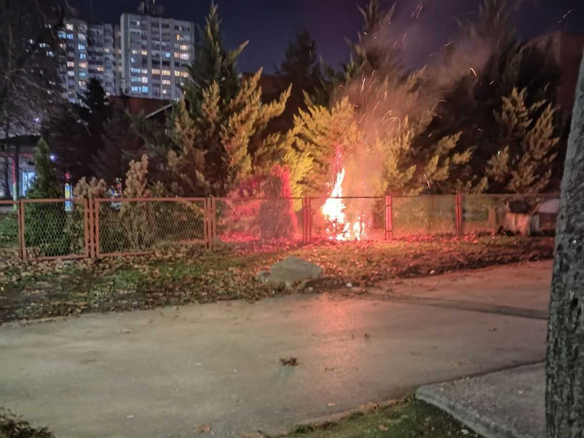 Požar kod vrtića "Bambi", zapalile se jelke 1 IMG d98af666e08c161aba986f0e3b246697 V