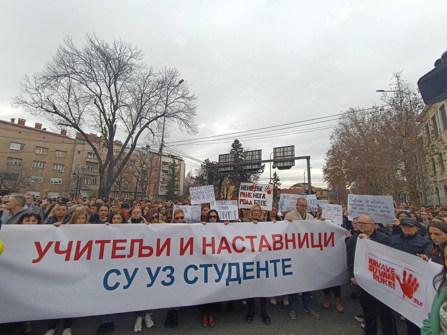 1734693065331 scaled