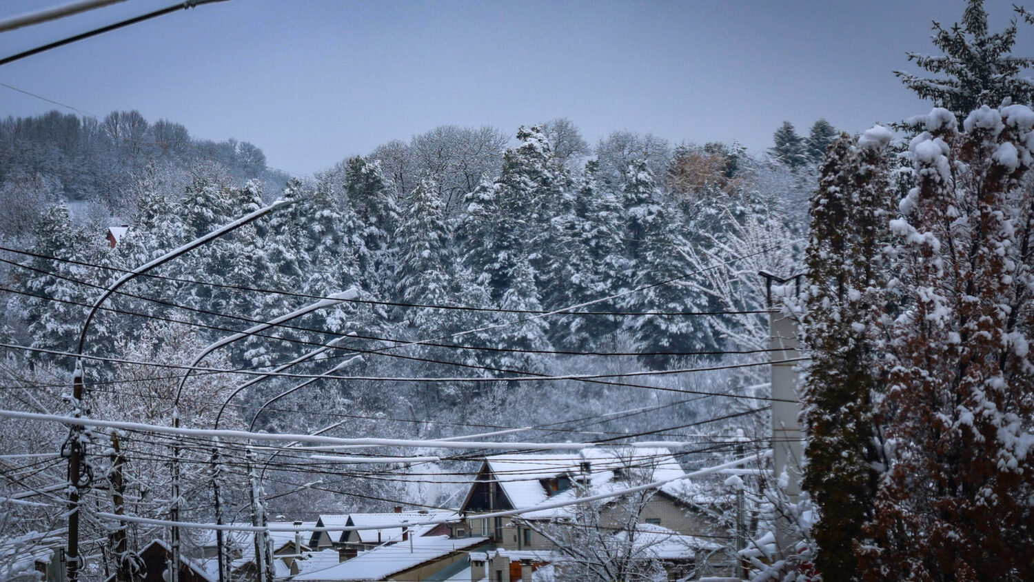 9S1A3381 edited scaled