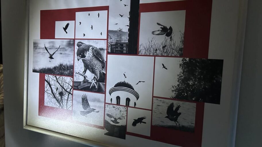 472688371 1744685636372234 1180375749048785677 n