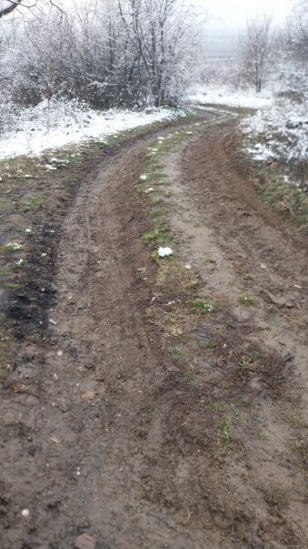 473769860 1154276379558626 4337186740418351926 n