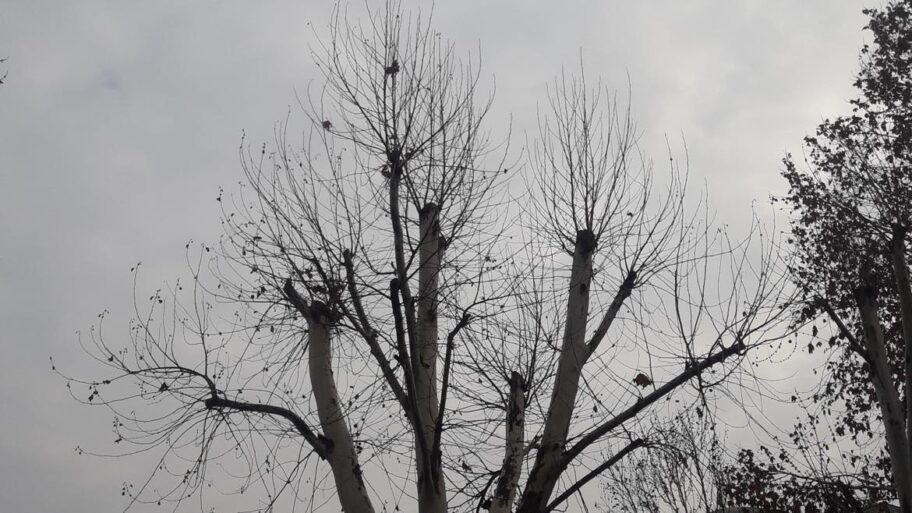 474813672 1793817198132553 1657119327867272187 n