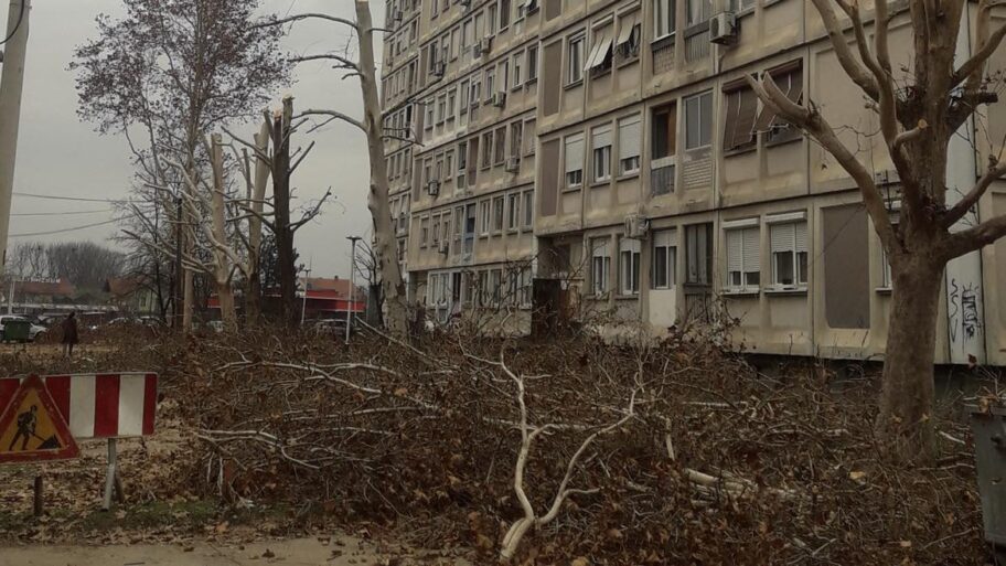 474990301 1351636629170071 4753528039431295151 n