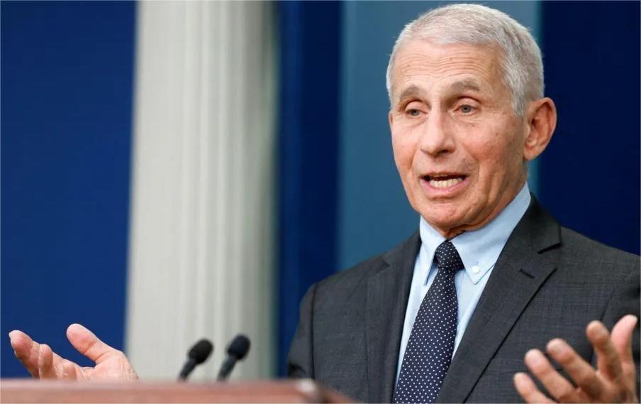 8d6b6940 d735 11ef 9fd6 0be88a764111