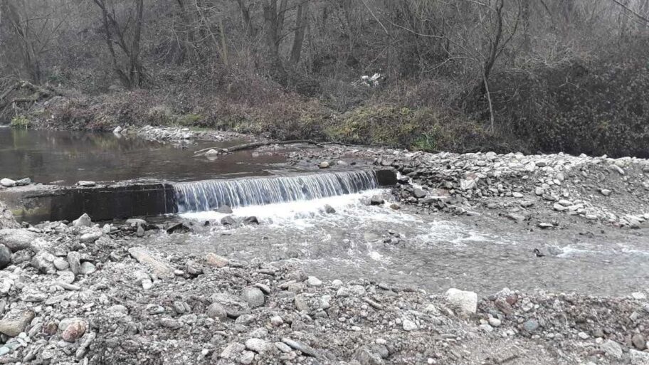 IMG 29585ddfbd0ded0797201024d20eb756 V 1