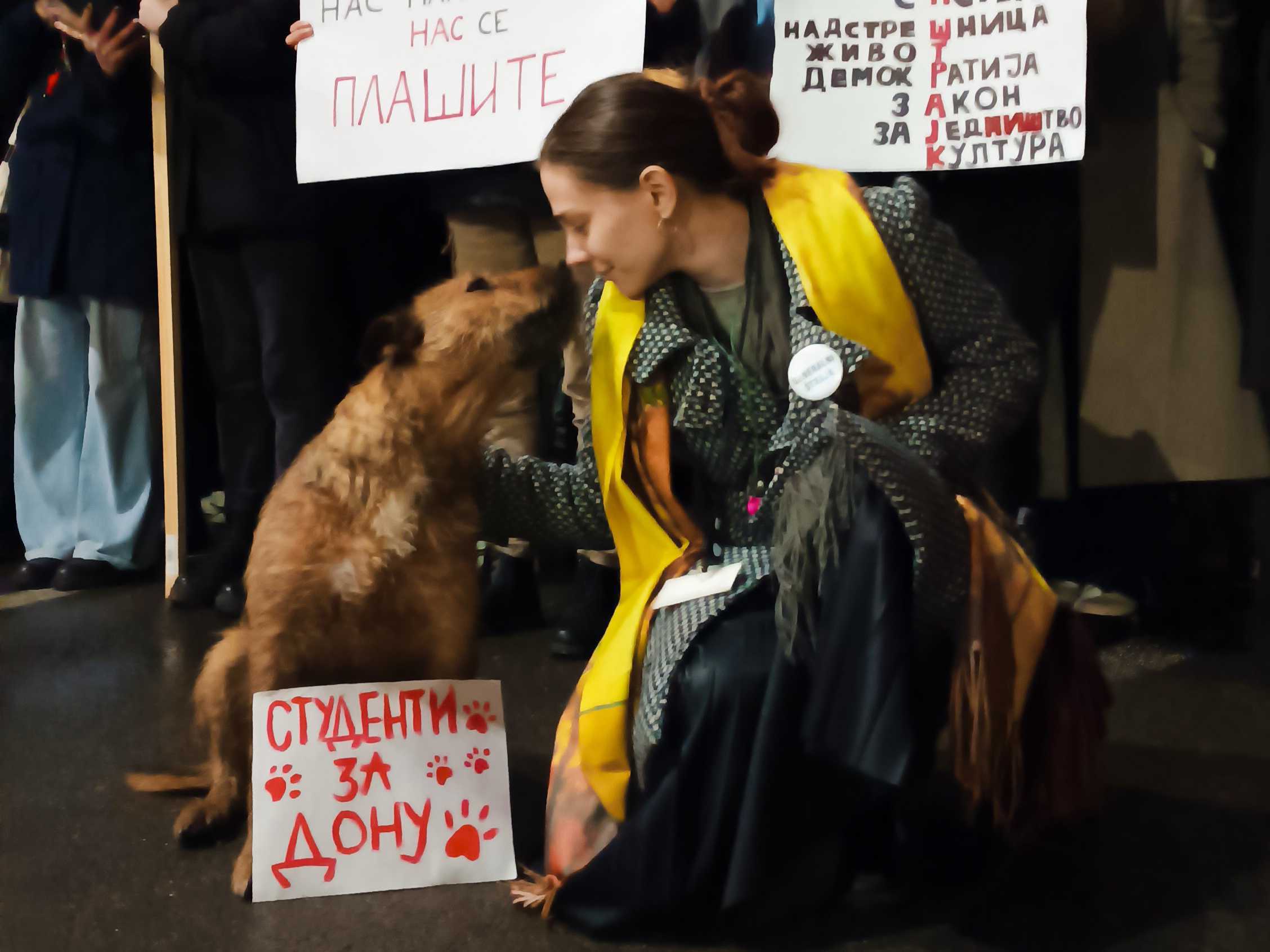 U Nišu skup u znak sećanja na pregaženu Donu 1 dona