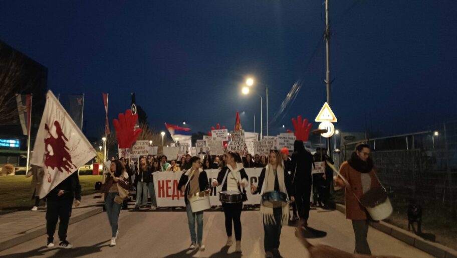 "Tamo daleko", "Pravde još nema" i "Dosta ćutanja" - Niš stao uz Novi Sad i studente 24 1738513265045