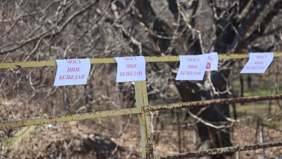 Svrljižani na protestu šetali za studente, pozvali vlast da popravi most ka Staroj planini 3 9S1A7428