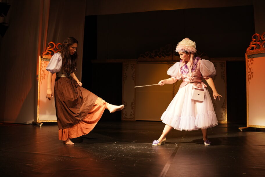 "Pop Ćira i pop Spira" i "Pepeljuga" ove nedelje u niškom Pozorištu lutaka 2 Pepeljuga 4