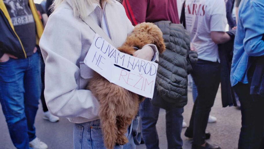 476486138 2414210168937190 8666842647018660349 n