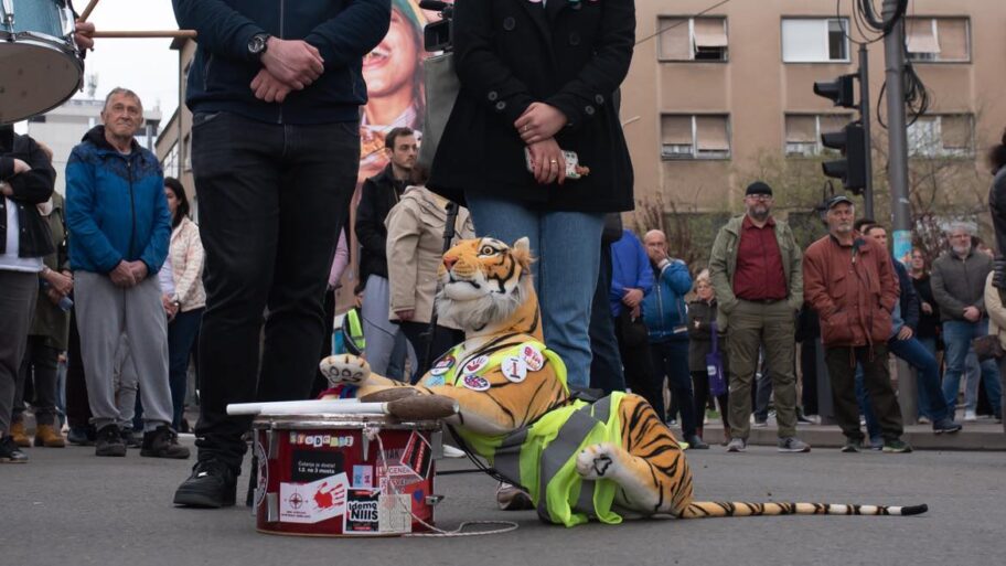 487315470 3152594104872242 3635821711023053238 n