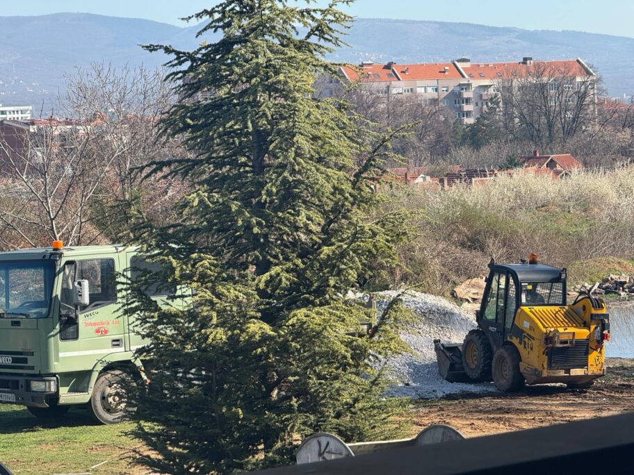 651db225 66dc 4404 8a93 3b7165facbfc