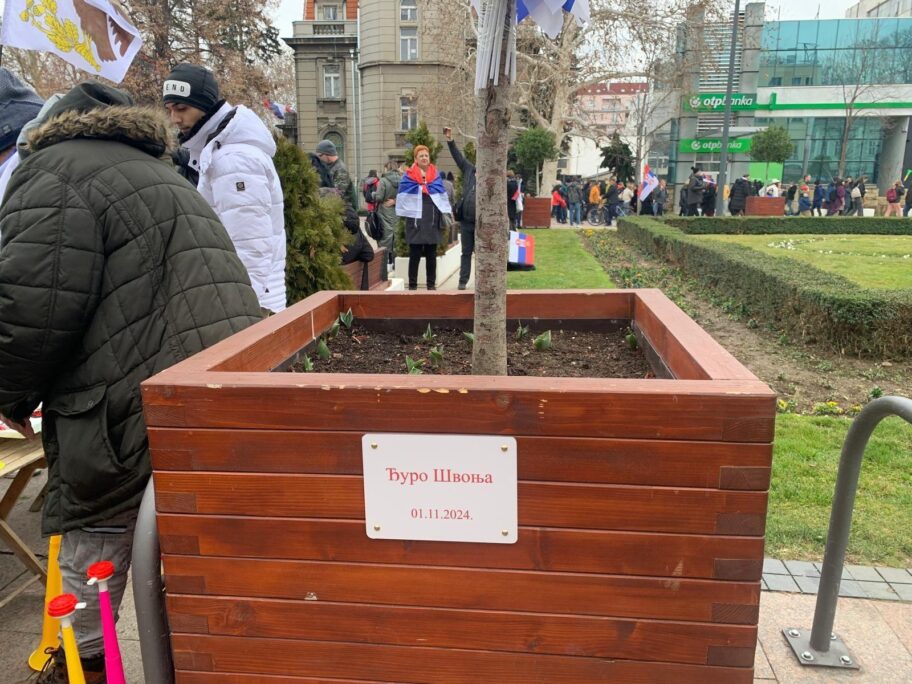 8bd9adb0 f69a 11ef 8c03 7dfdbeeb2526 1