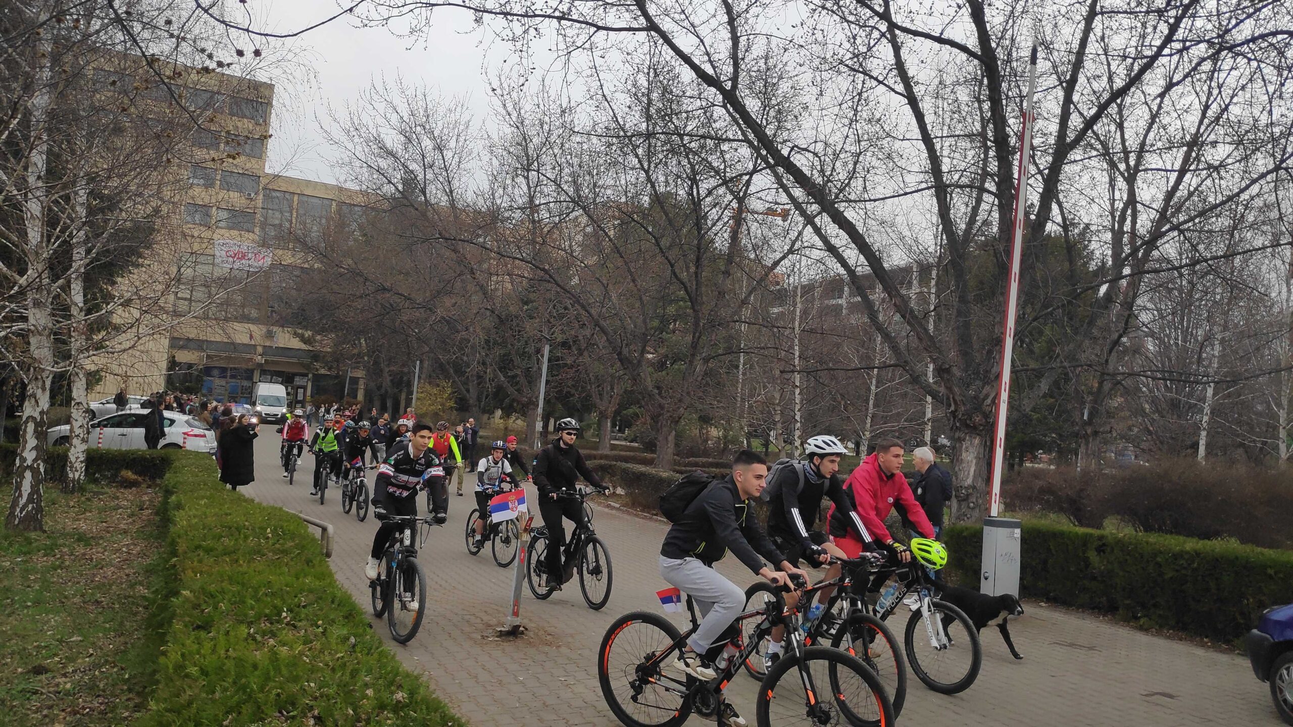 IMG 20250311 090202 scaled