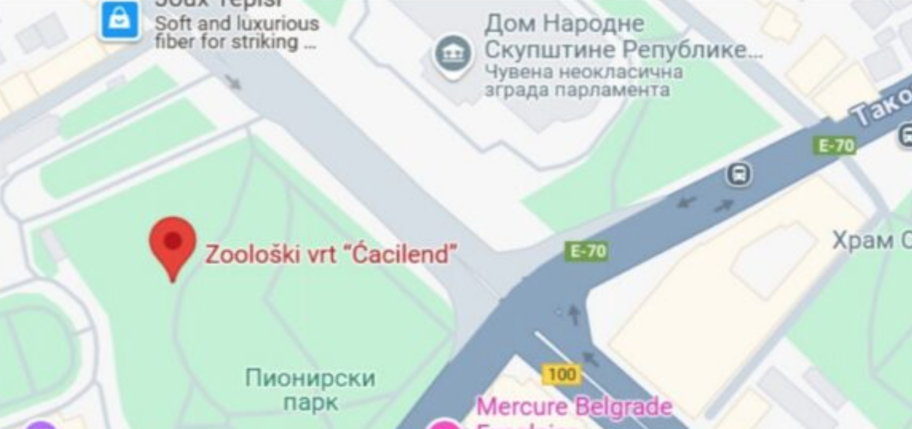 Gradonačelnik Niša priznao da podržava ono u Pionirskom parku u Beogradu 2 Screenshot 2025 03 13 at 11.37.42