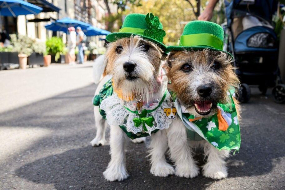 a6b17cf0 031d 11f0 a8b1 950887ddc6e5