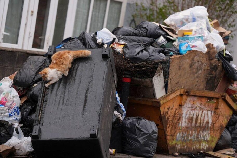 b7dc03f0 0599 11f0 97d3 37df2b293ed1