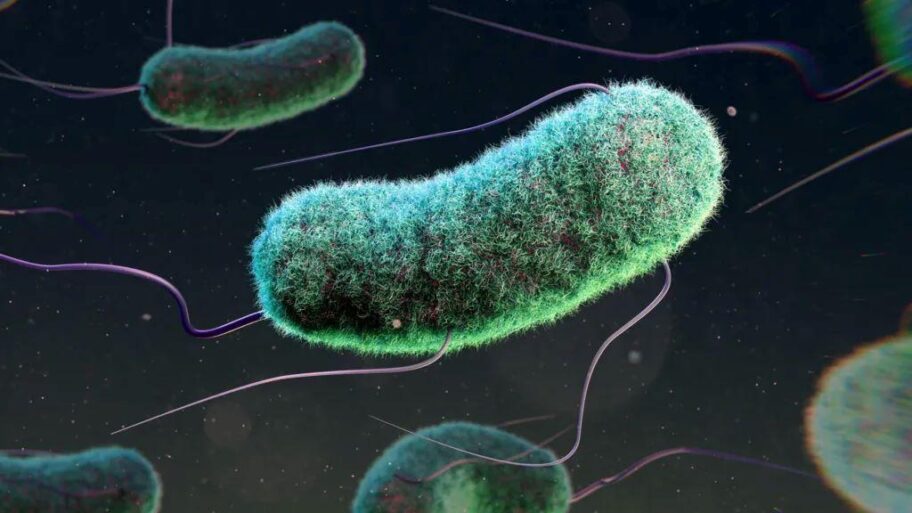 817894e0 187c 11f0 b1b3 7358f8d35a35