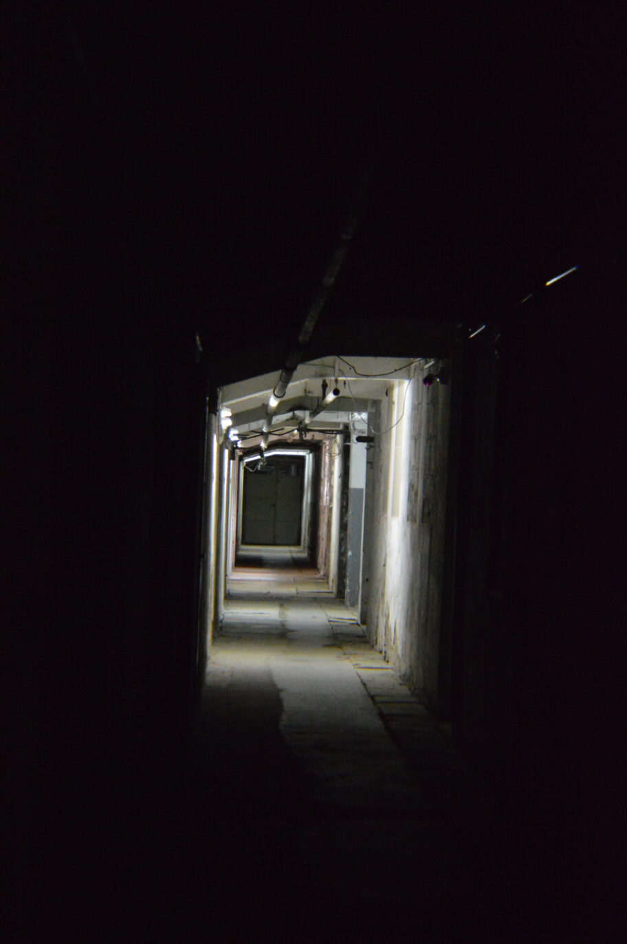 Arhitektura "Ei Niš" - kako je industrijsko nasleđe bivšeg giganta ostalo u senci privatizacije 27 DSC 0278