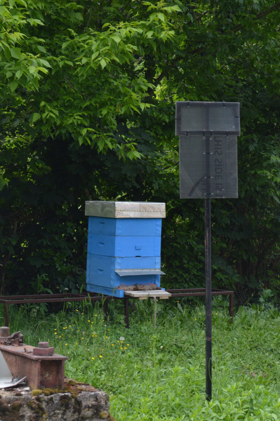 Arhitektura "Ei Niš" - kako je industrijsko nasleđe bivšeg giganta ostalo u senci privatizacije 34 DSC 0301