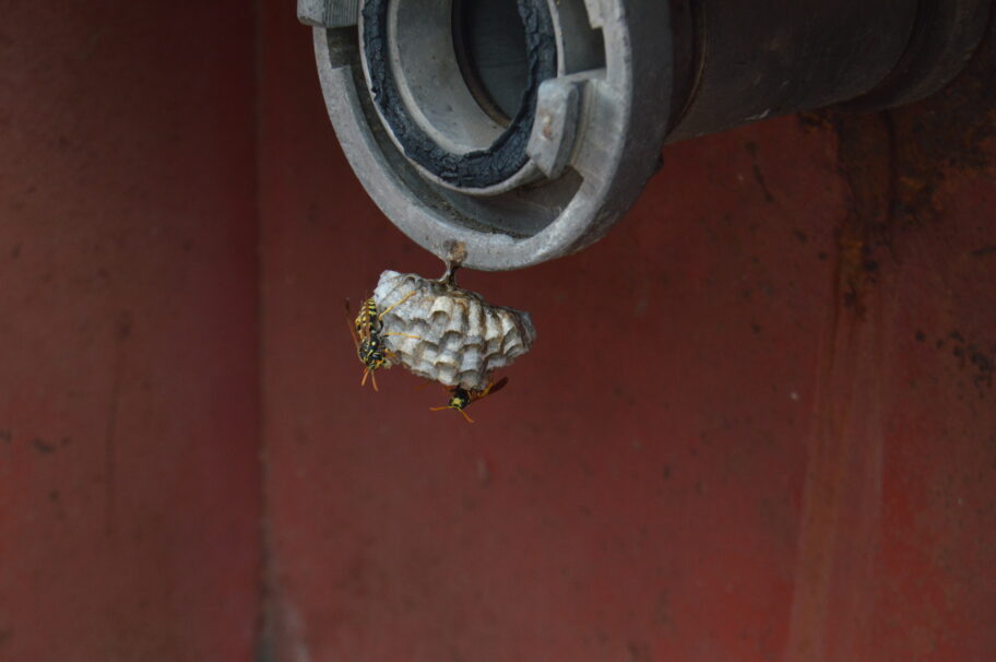 Arhitektura "Ei Niš" - kako je industrijsko nasleđe bivšeg giganta ostalo u senci privatizacije 47 DSC 0364