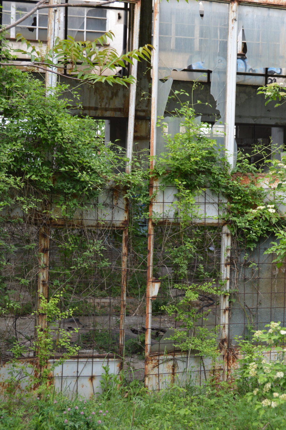 Arhitektura "Ei Niš" - kako je industrijsko nasleđe bivšeg giganta ostalo u senci privatizacije 48 DSC 0374