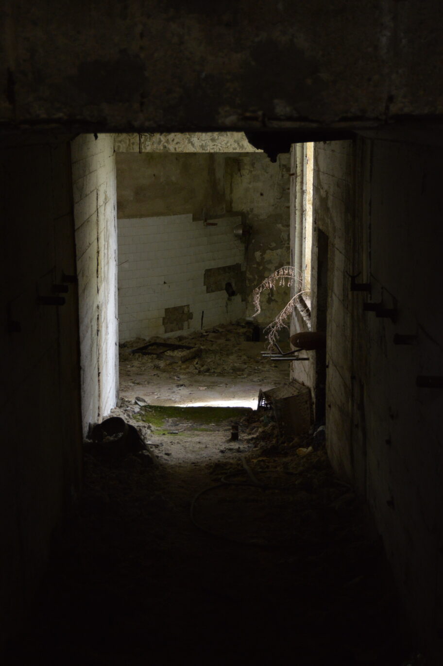 Arhitektura "Ei Niš" - kako je industrijsko nasleđe bivšeg giganta ostalo u senci privatizacije 54 DSC 0392