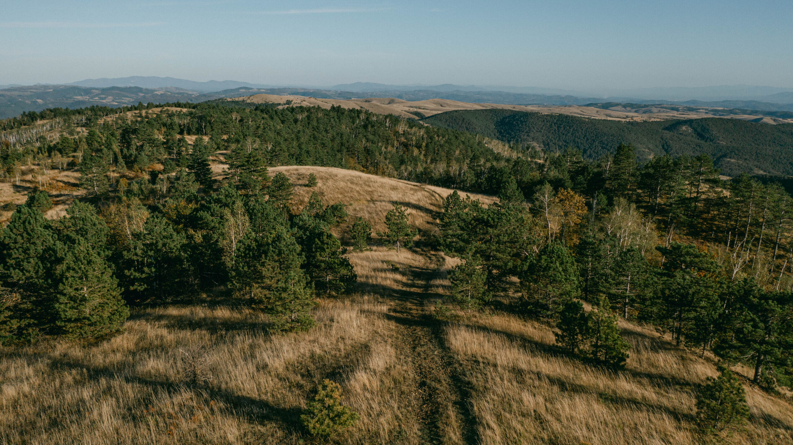 Foto Radovan Kovac scaled