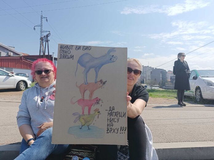 IMG 20250405 124037 1