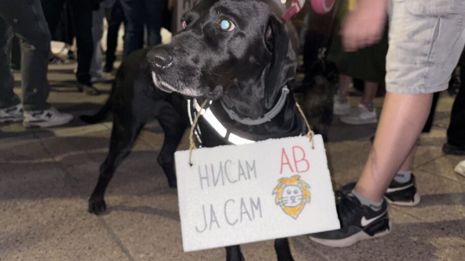 Nada i Lav se vratili kući: Niš dočekao svoje heroje koji su biciklima išli do Strazbura 6 nada 2