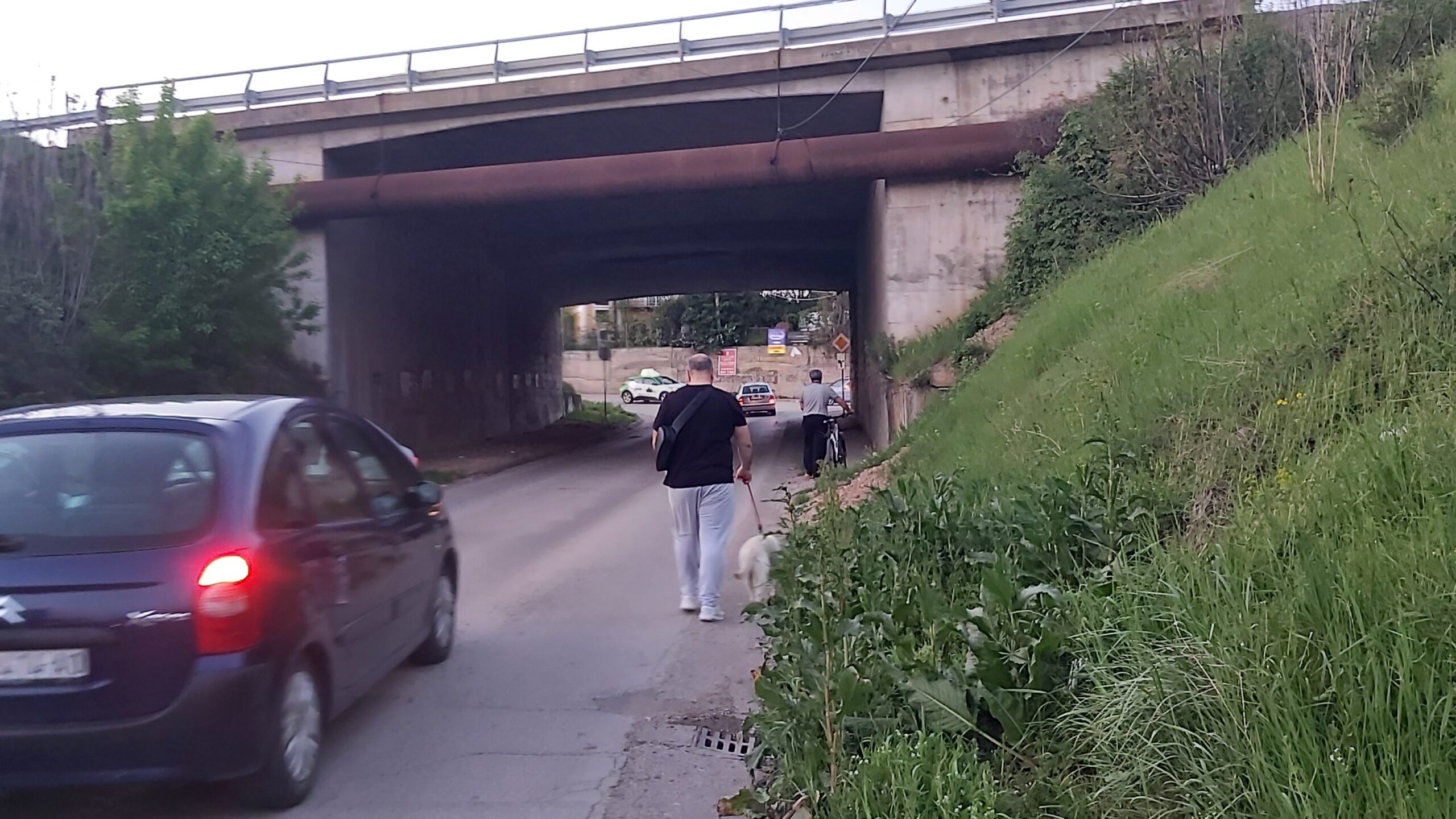 20250421 192339 1 scaled