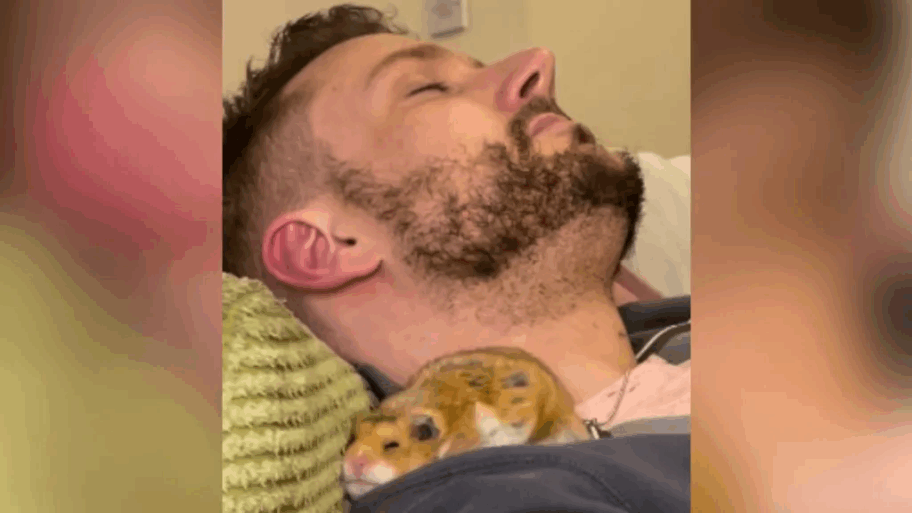 38665150 3a11 11f0 96c3 cf669419a2b0