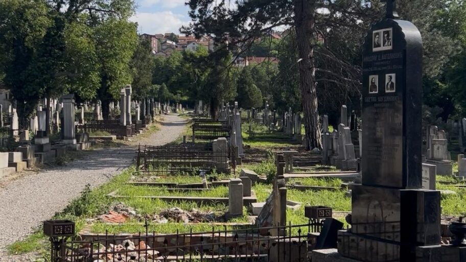 4f8aed5f 651e 4e13 97ff 5d8ce39ed318