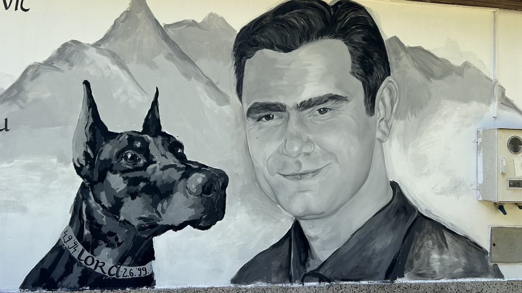 54ea0e8b e9a0 4e56 a73a 3670c7e30514