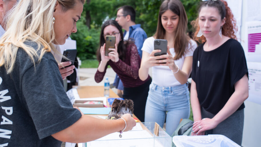 O litijumu, Jadru, Ekspu, propagandi i problemima pričali studenti i profesori u Čairu 14 JLM 4249