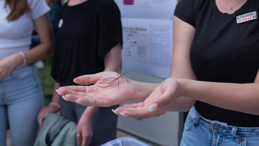 O litijumu, Jadru, Ekspu, propagandi i problemima pričali studenti i profesori u Čairu 15 JLM 4252