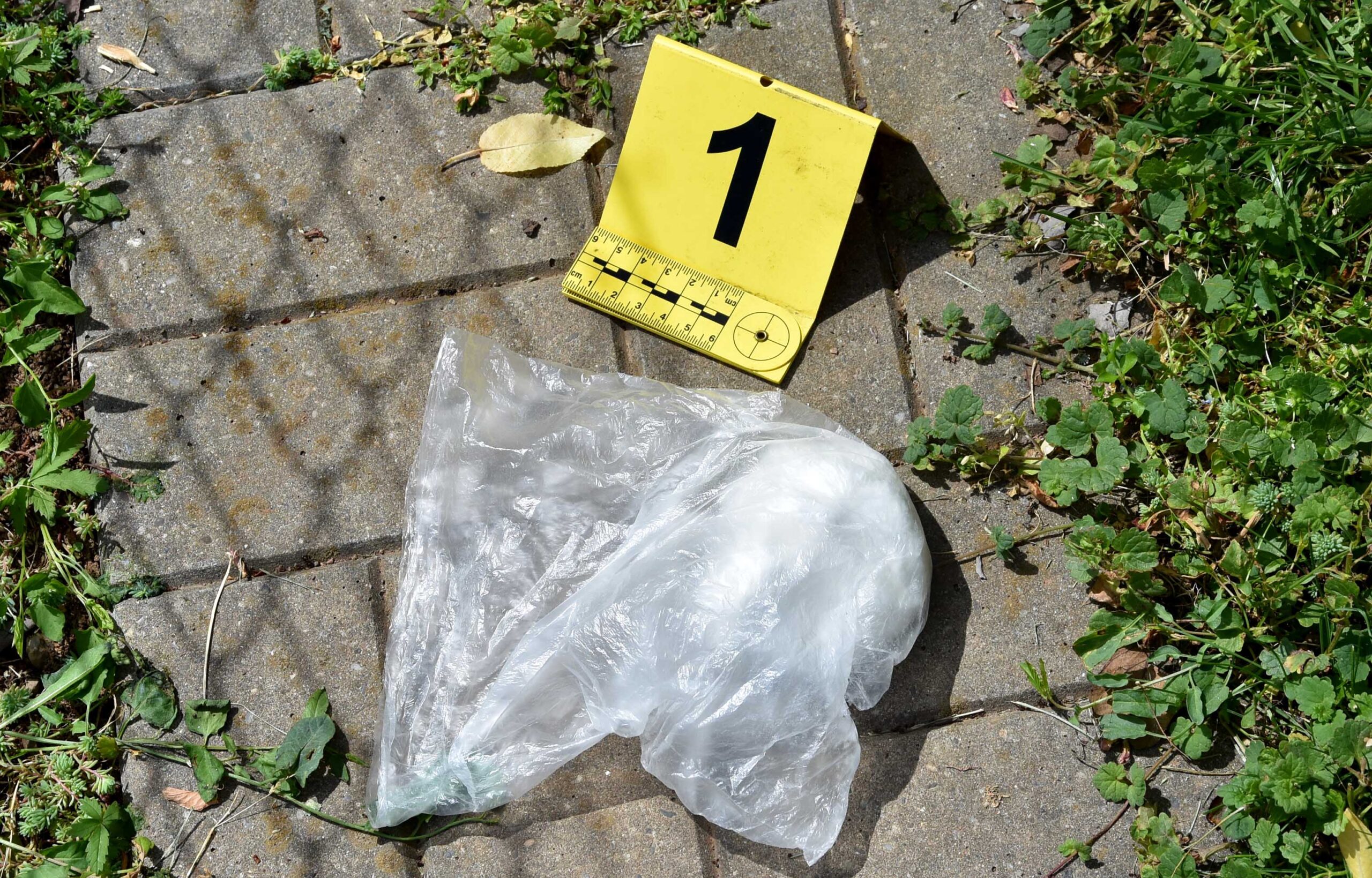 Uhapšen diler u Nišu zbog oko 100 grama kokaina 1 kokain foto mup scaled