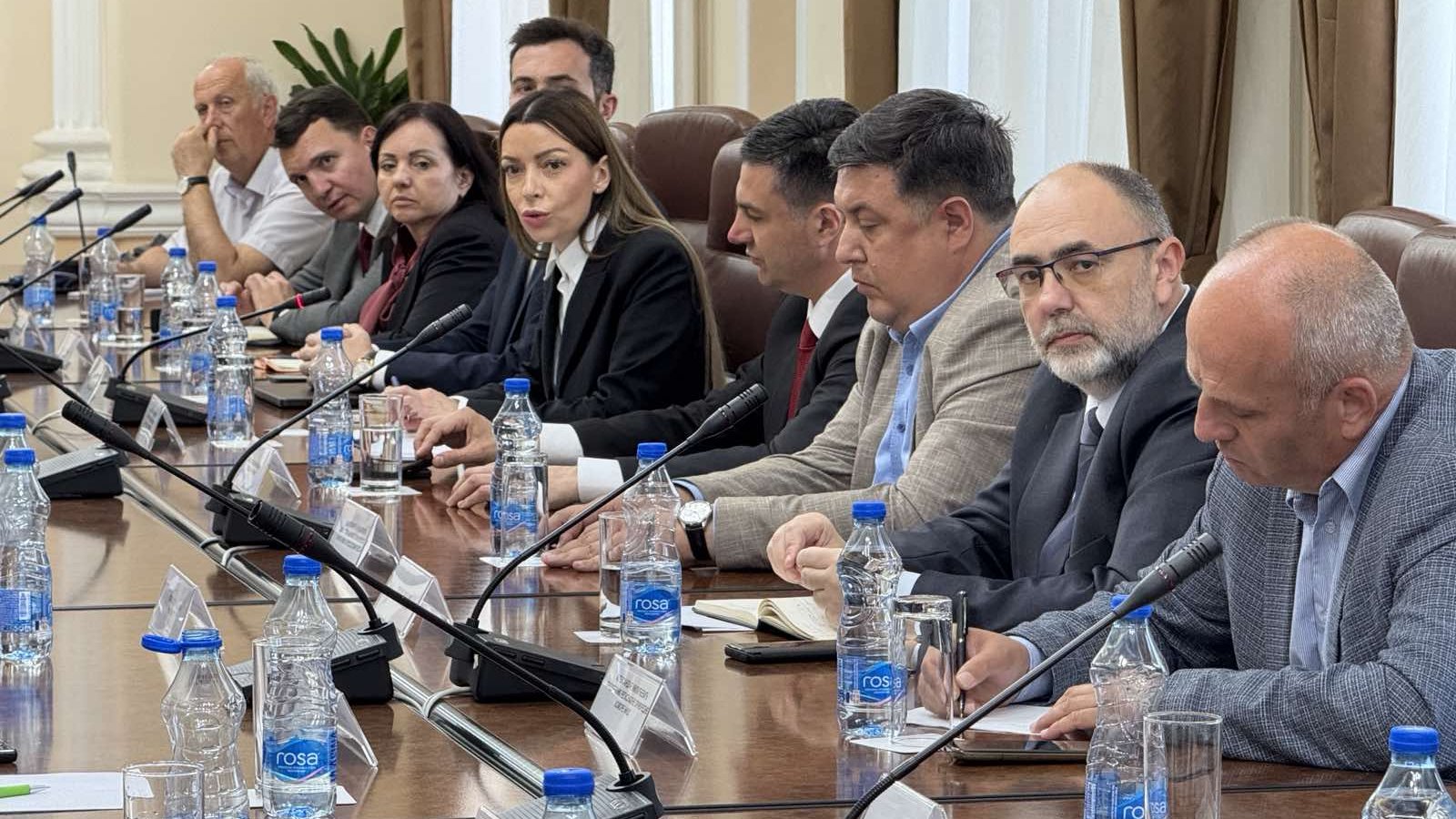 ministarka mesarevic foto gradnis