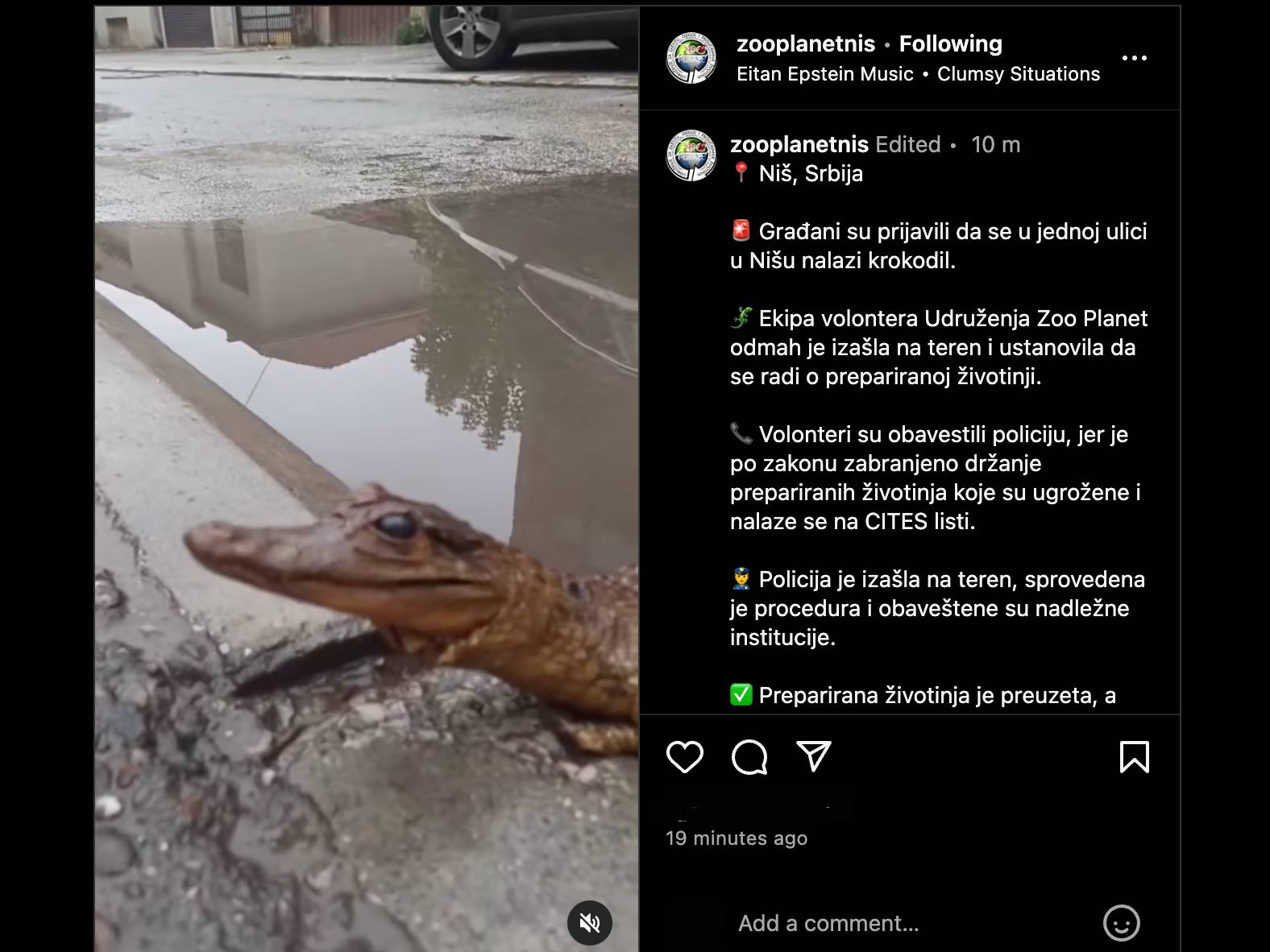 zoo planet i krokodil