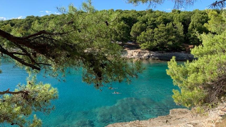 15a61b00 3fc5 11f0 b894 1bc5031ee36f