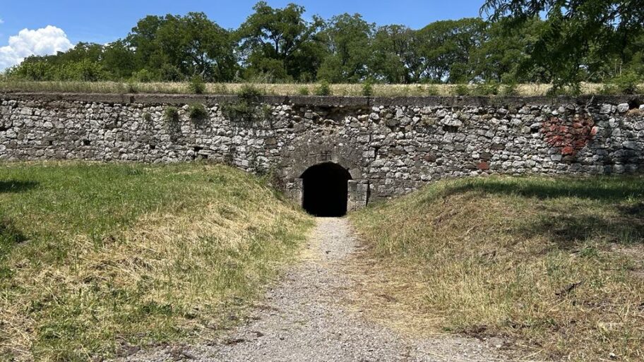 17d08dfa 2702 4e0b b5b9 d5573a82202a