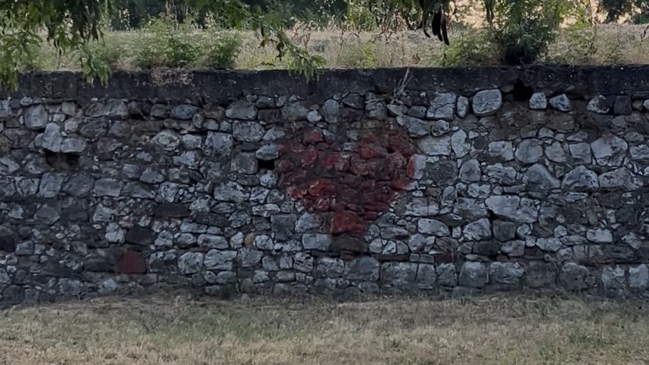 44b26477 4d5d 4e19 abf1 d7635100ef79