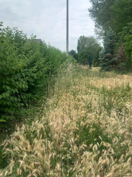 503486687 10237375736109916 347700131808820687 n 452x603 1