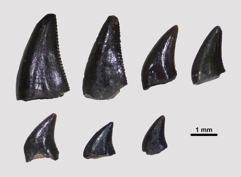 8d908170 511b 11f0 b4be 8f7caf53b80c