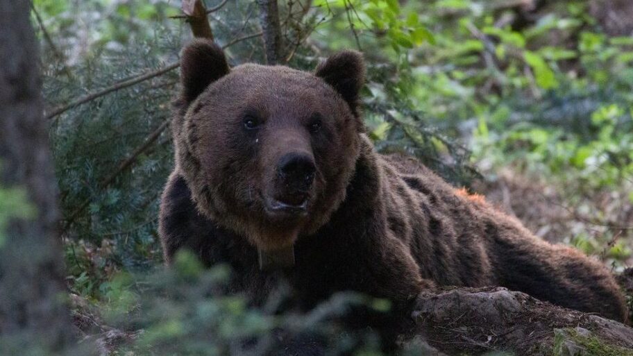 98824dd0 51f1 11f0 a905 01a82a8086fe