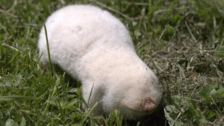 991748a0 4ec1 11f0 8986 117967d0cbc3